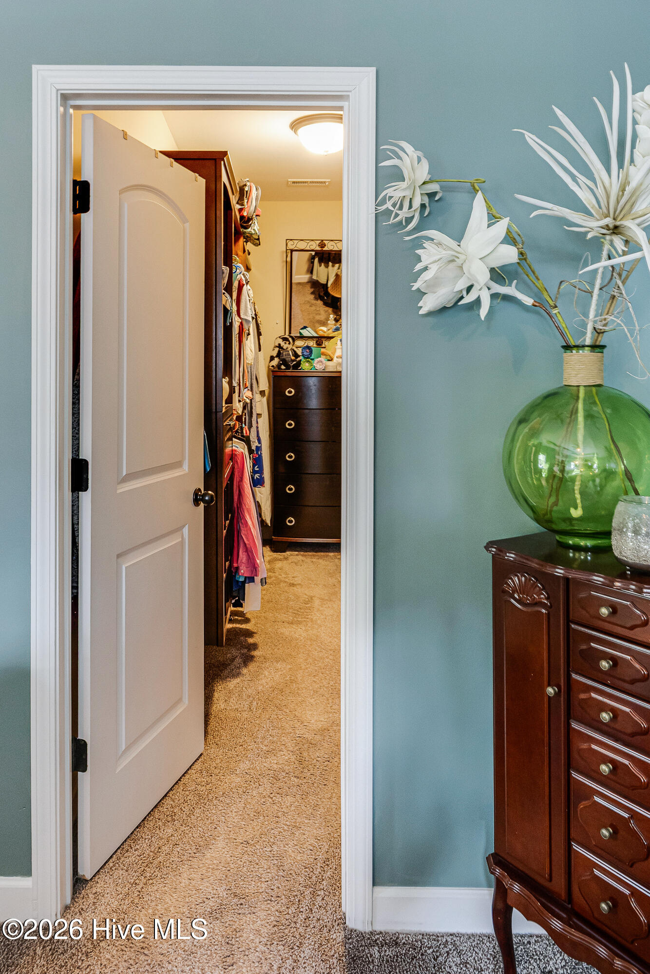 100559447 | Photo 23