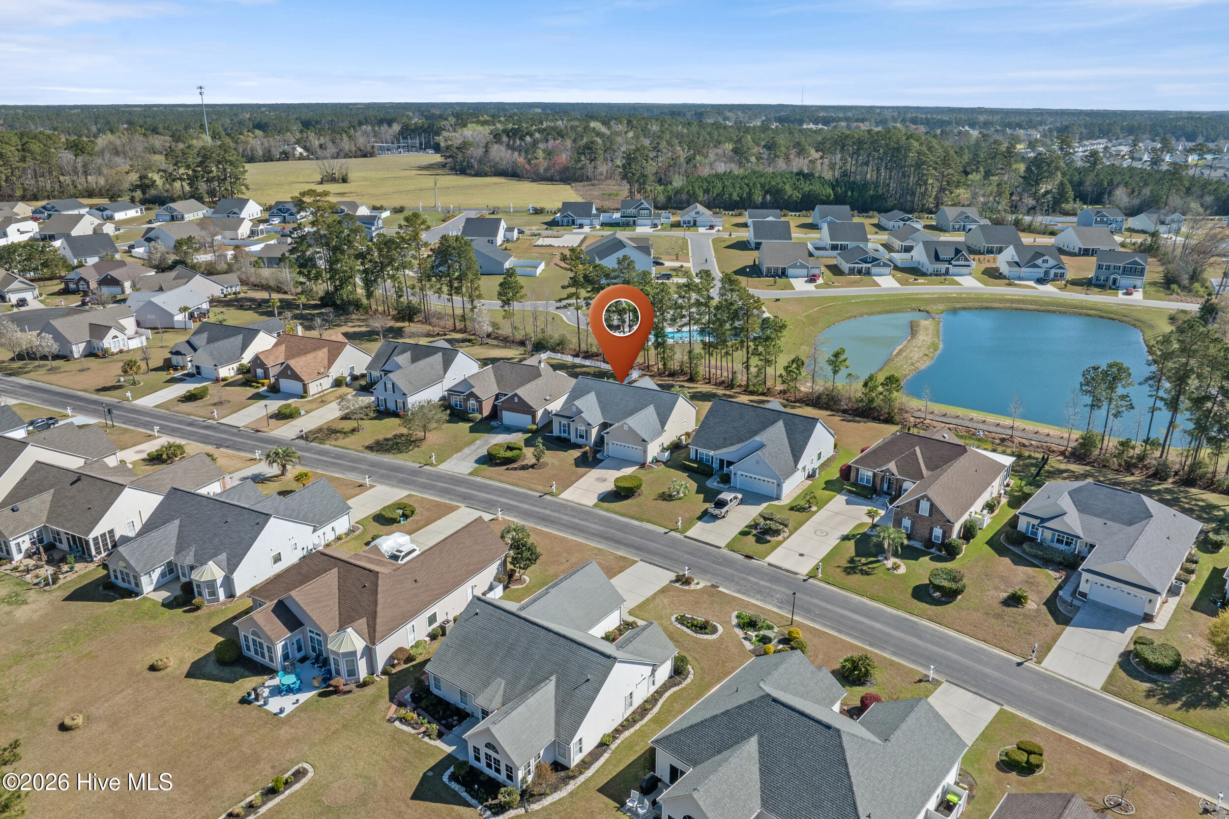 100562185 | Photo 35