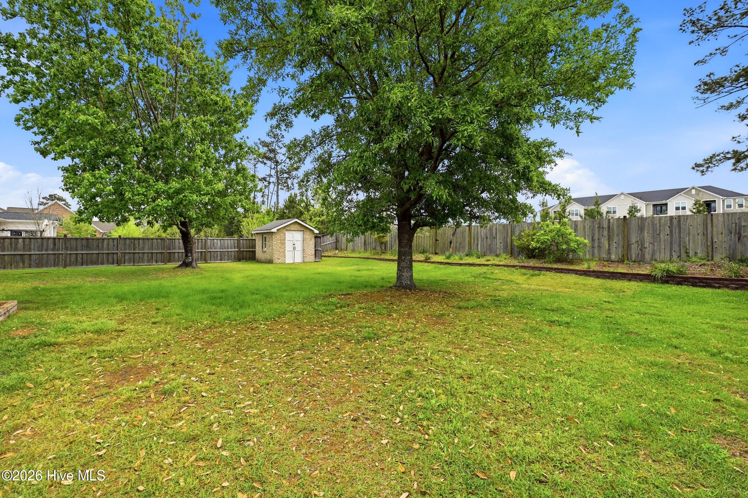 100564899 | Photo 34