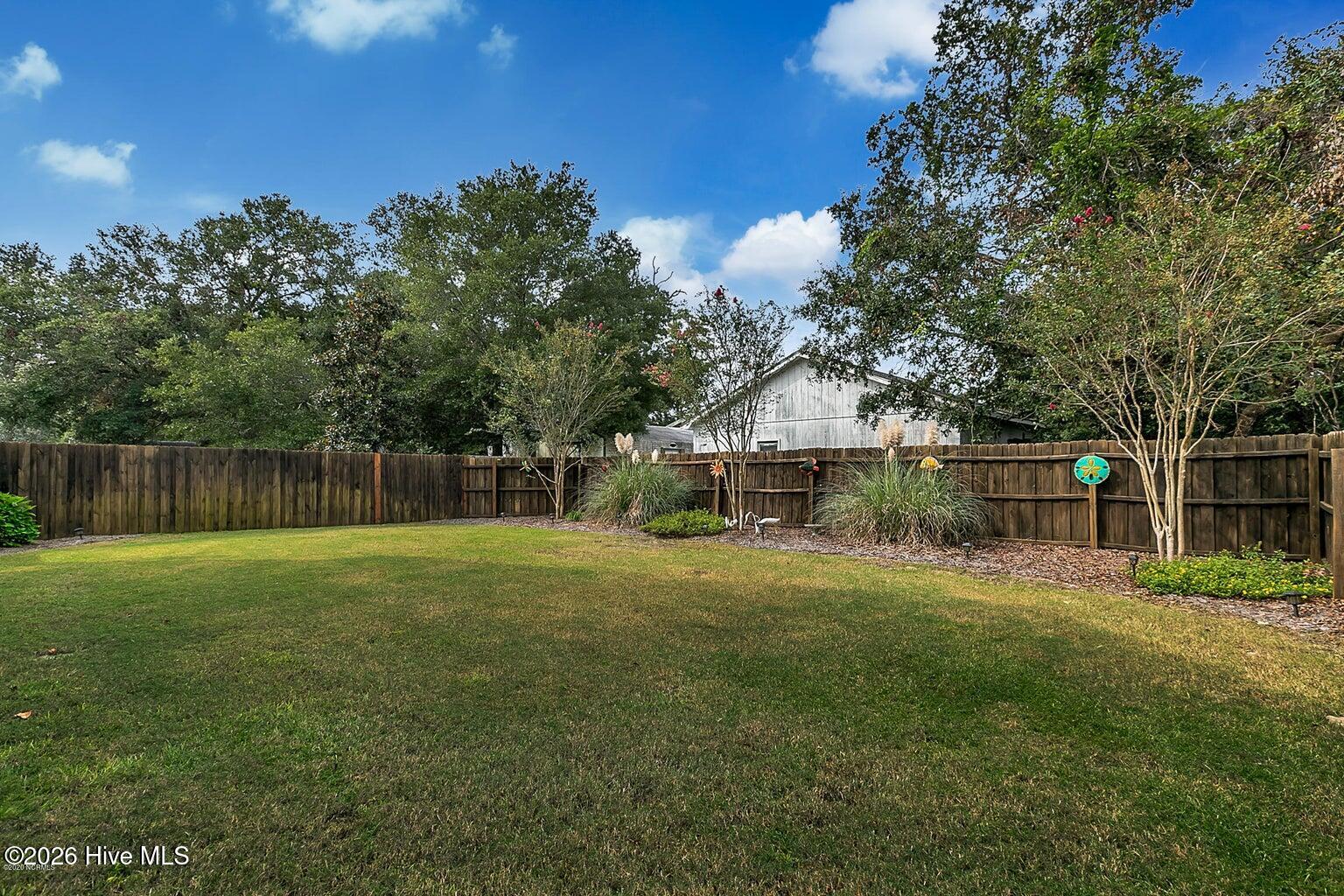 100566076 | Photo 12