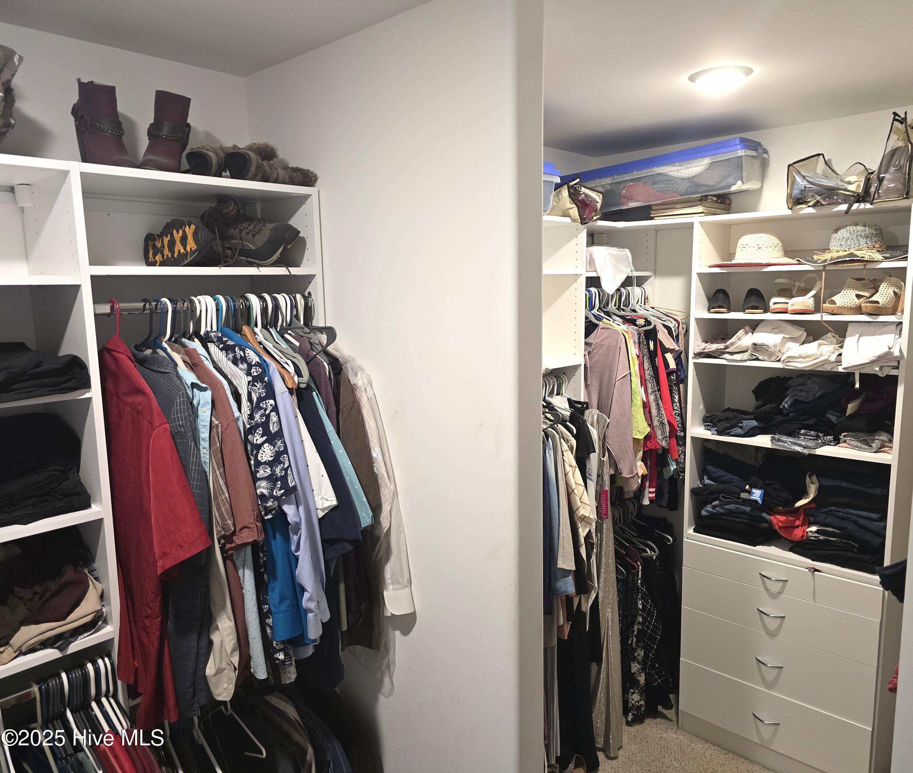 100529992 | Photo 30