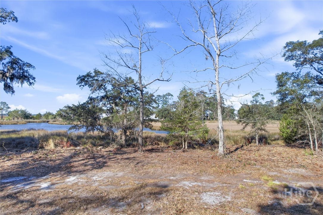 LOT 4 Bermuda Bluff Lane, Midway, GA, 31320
