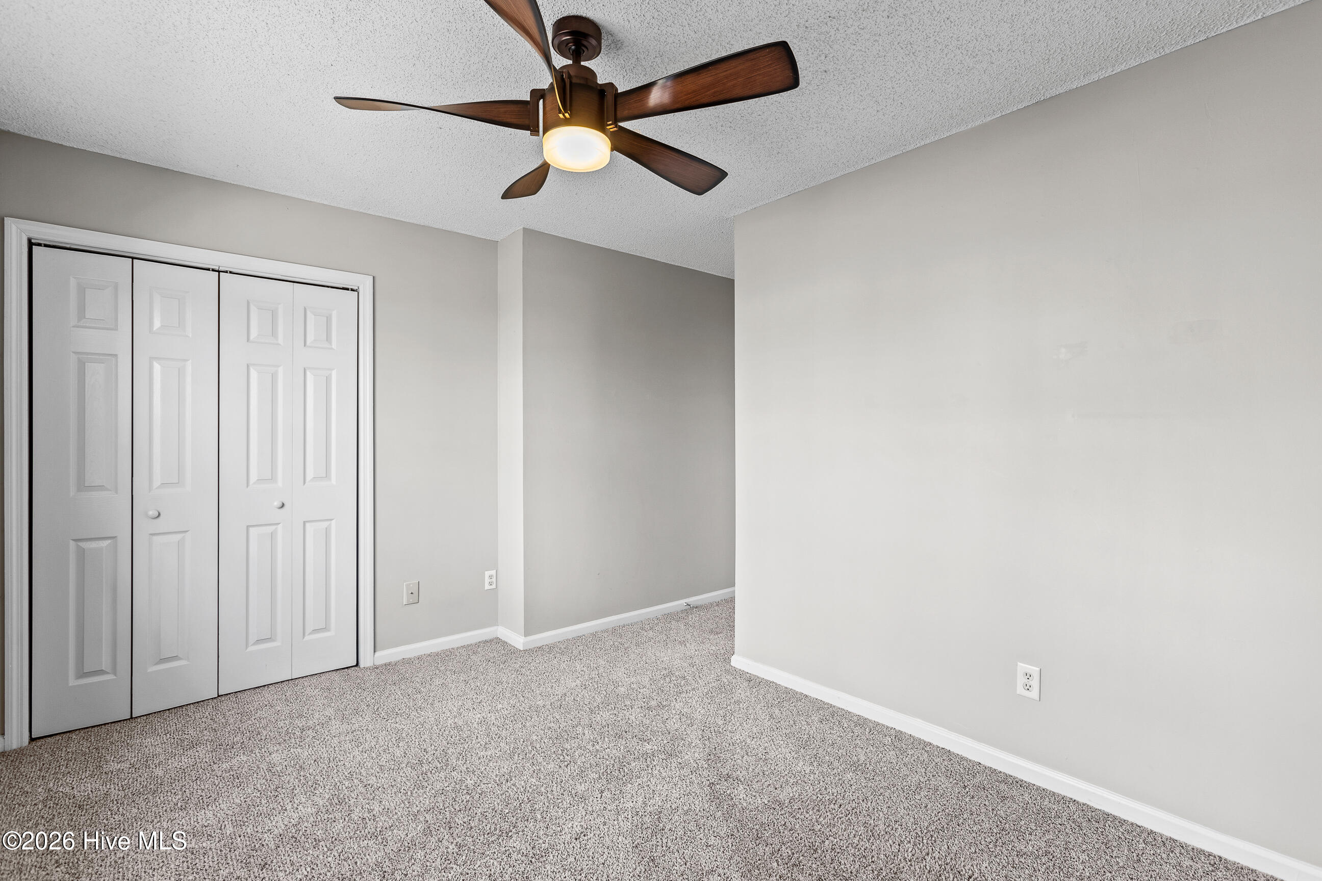 100558905 | Photo 17