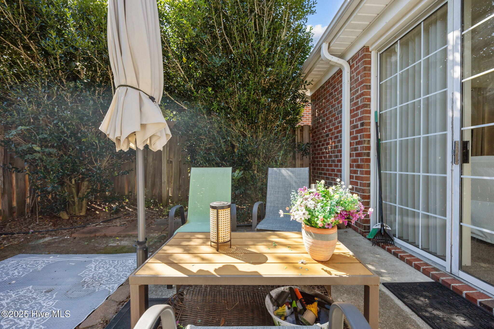 100532980 | Photo 38