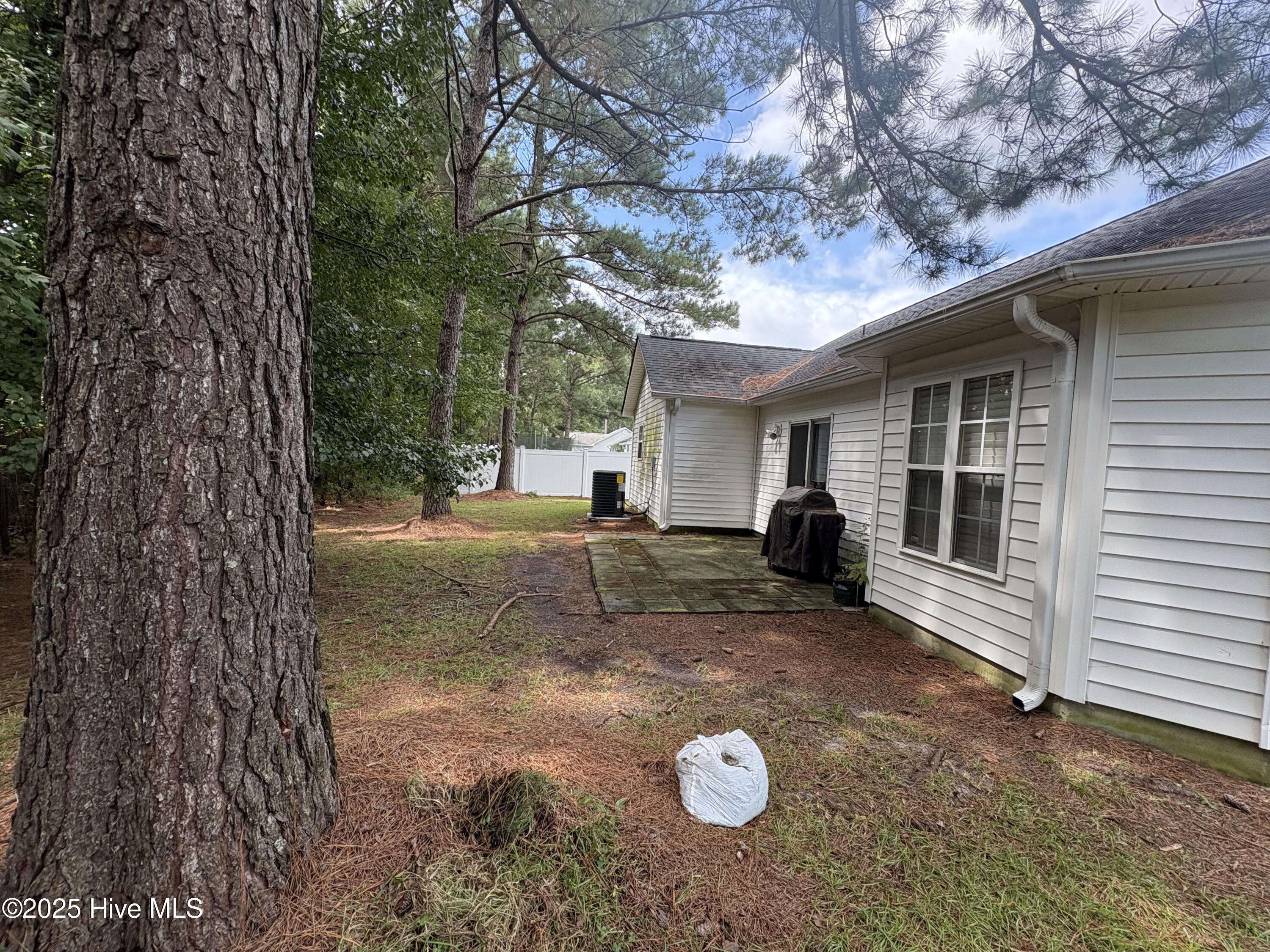 100563747 | Photo 22