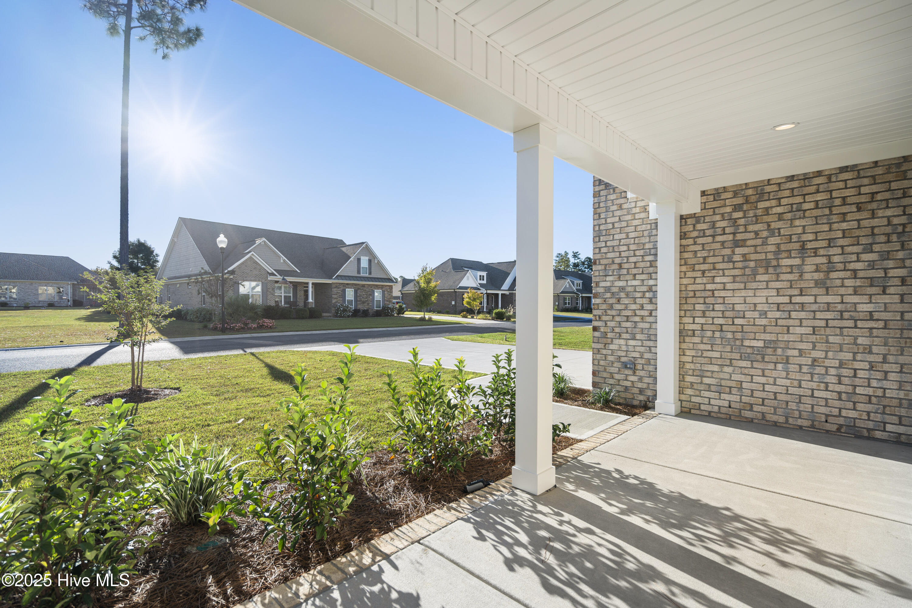 100493135 | Photo 59