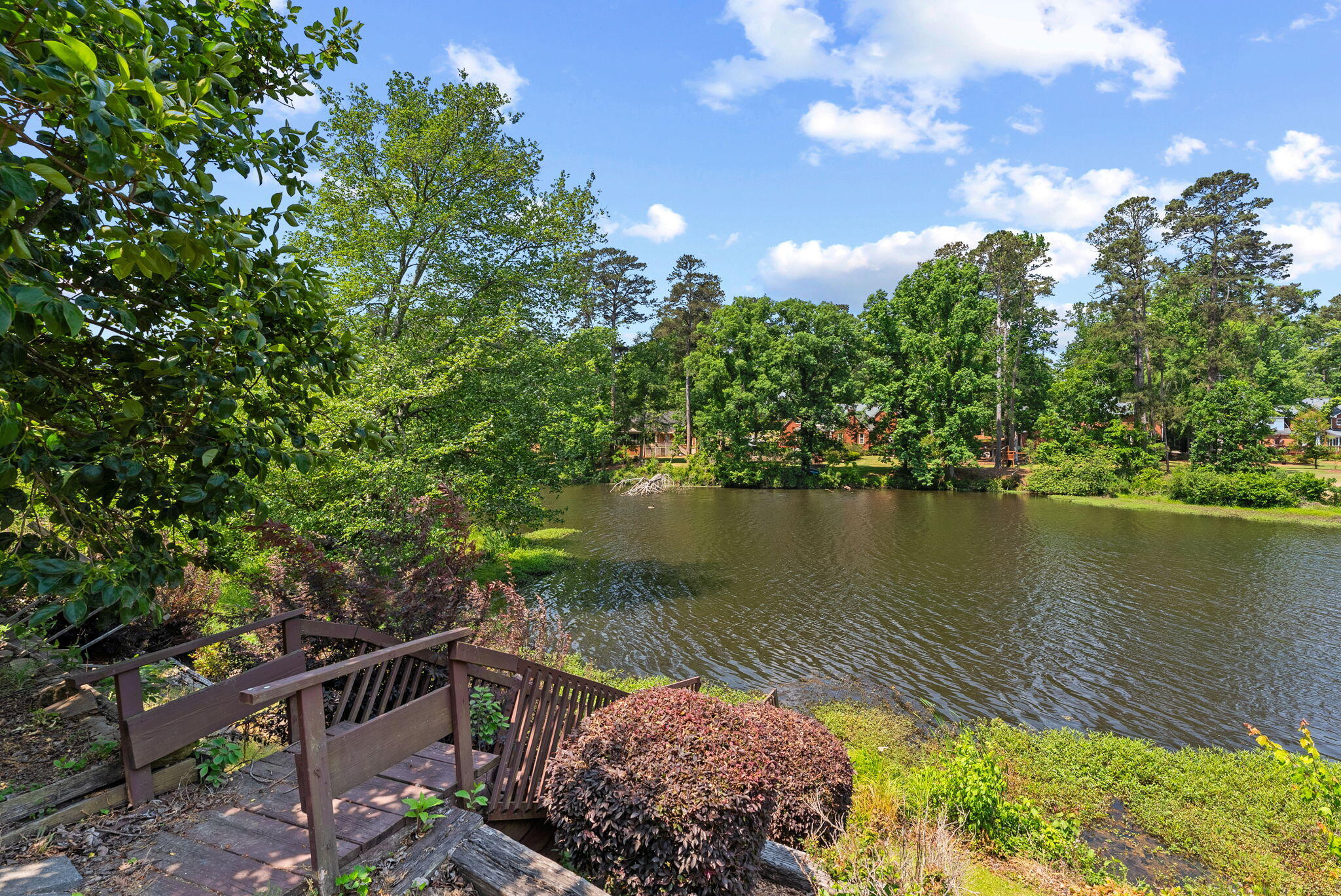 33-web-or-mls-DSC07940