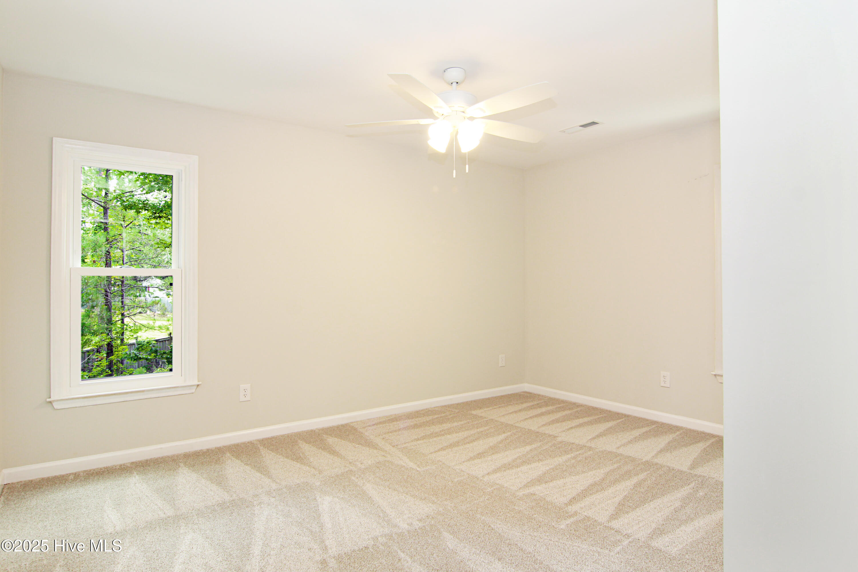 100517489 | Photo 31