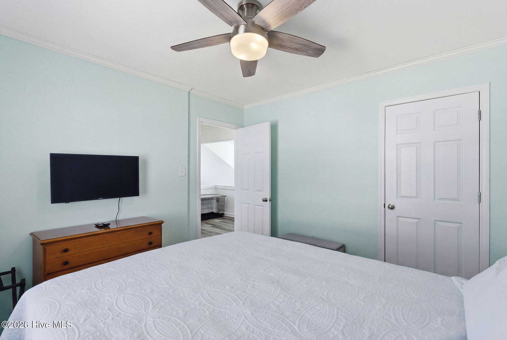 100558178 | Photo 43