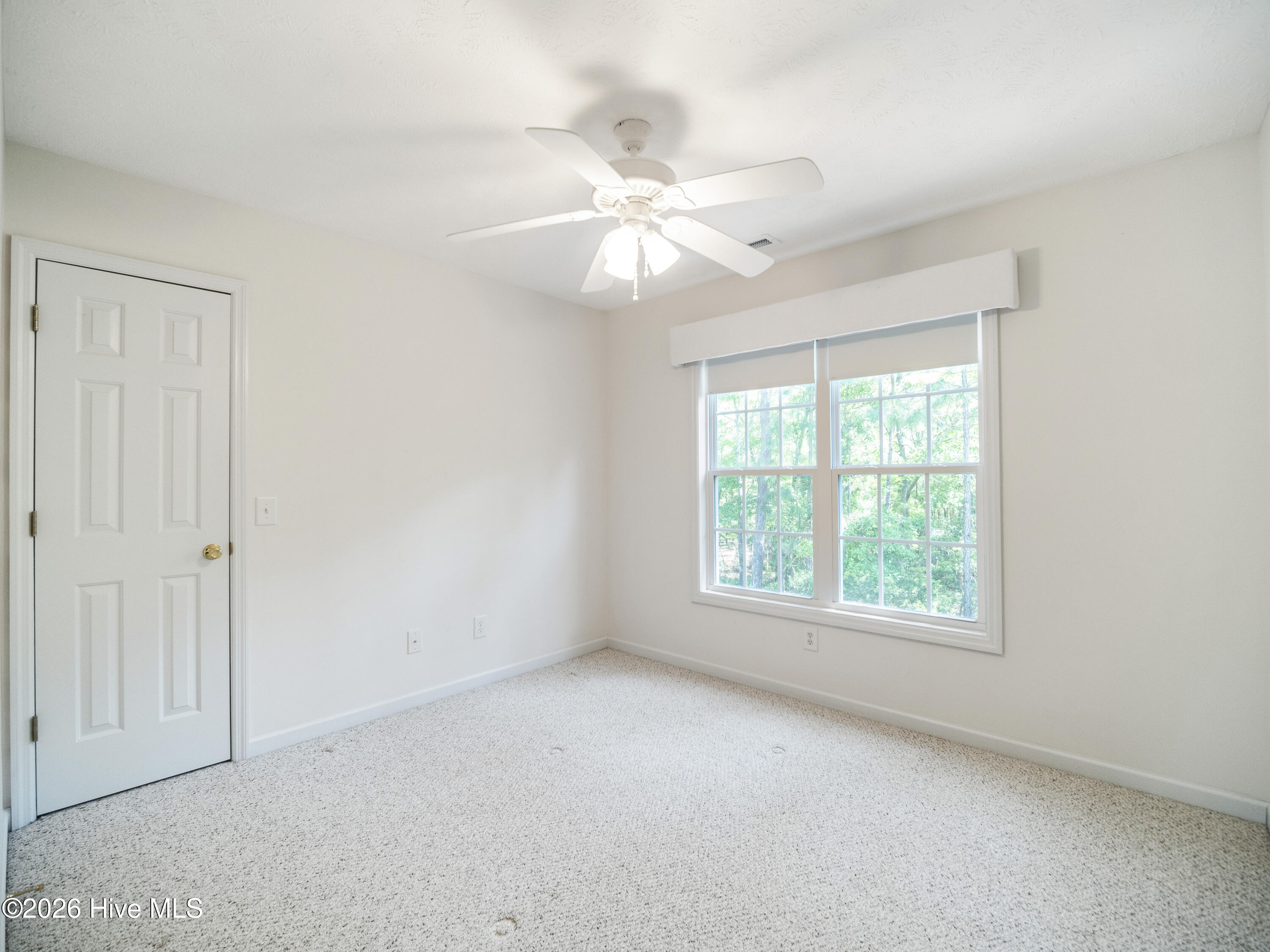 100570640 | Photo 39