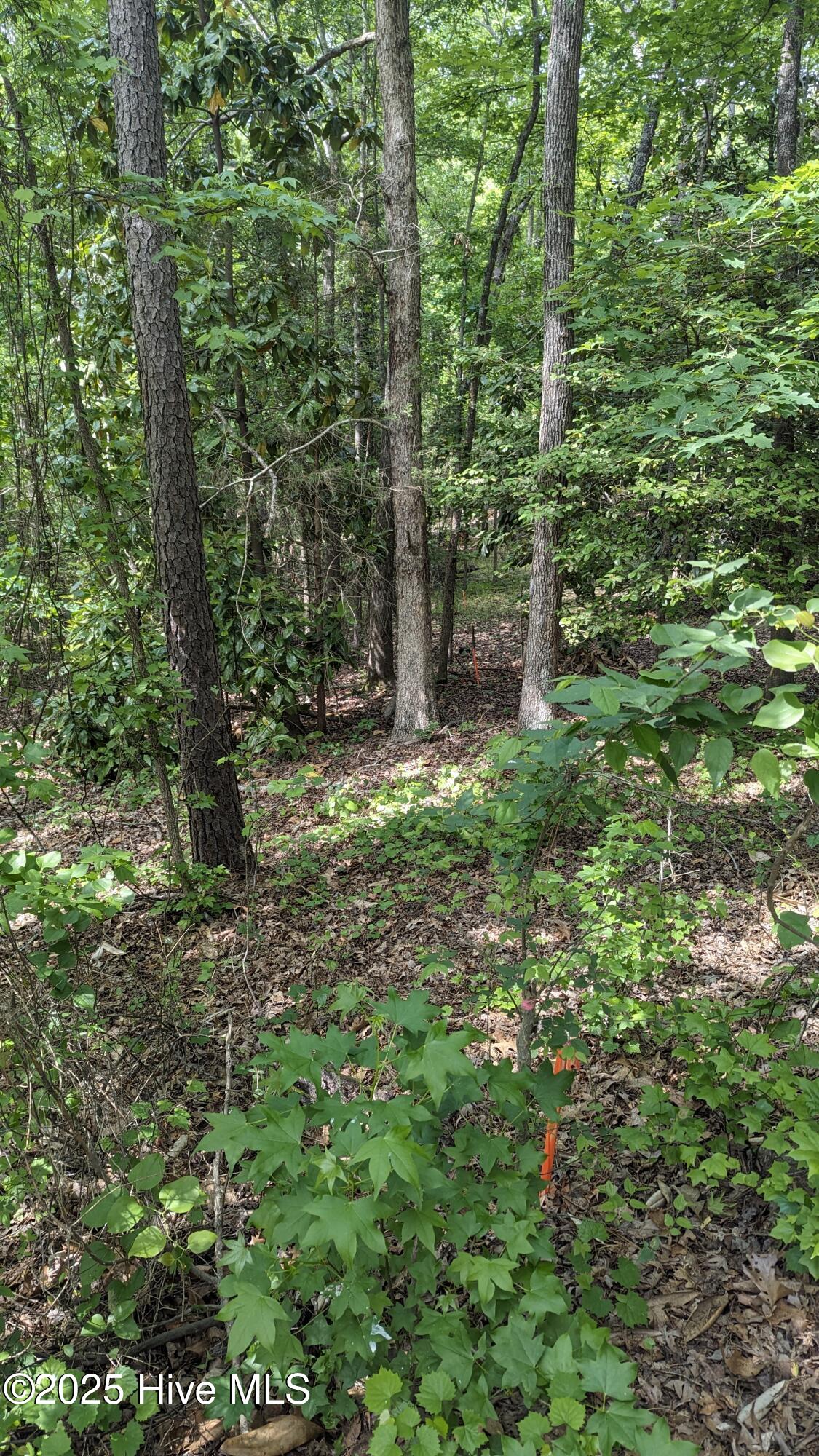 PXL_20240427_192701846