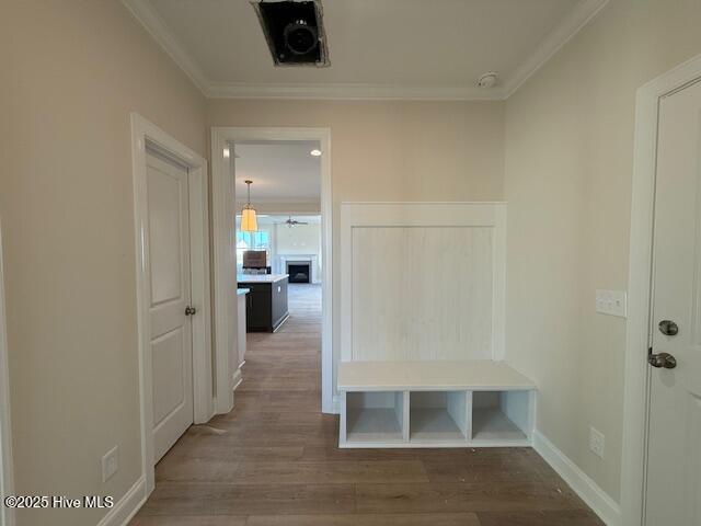 100537825 | Photo 18