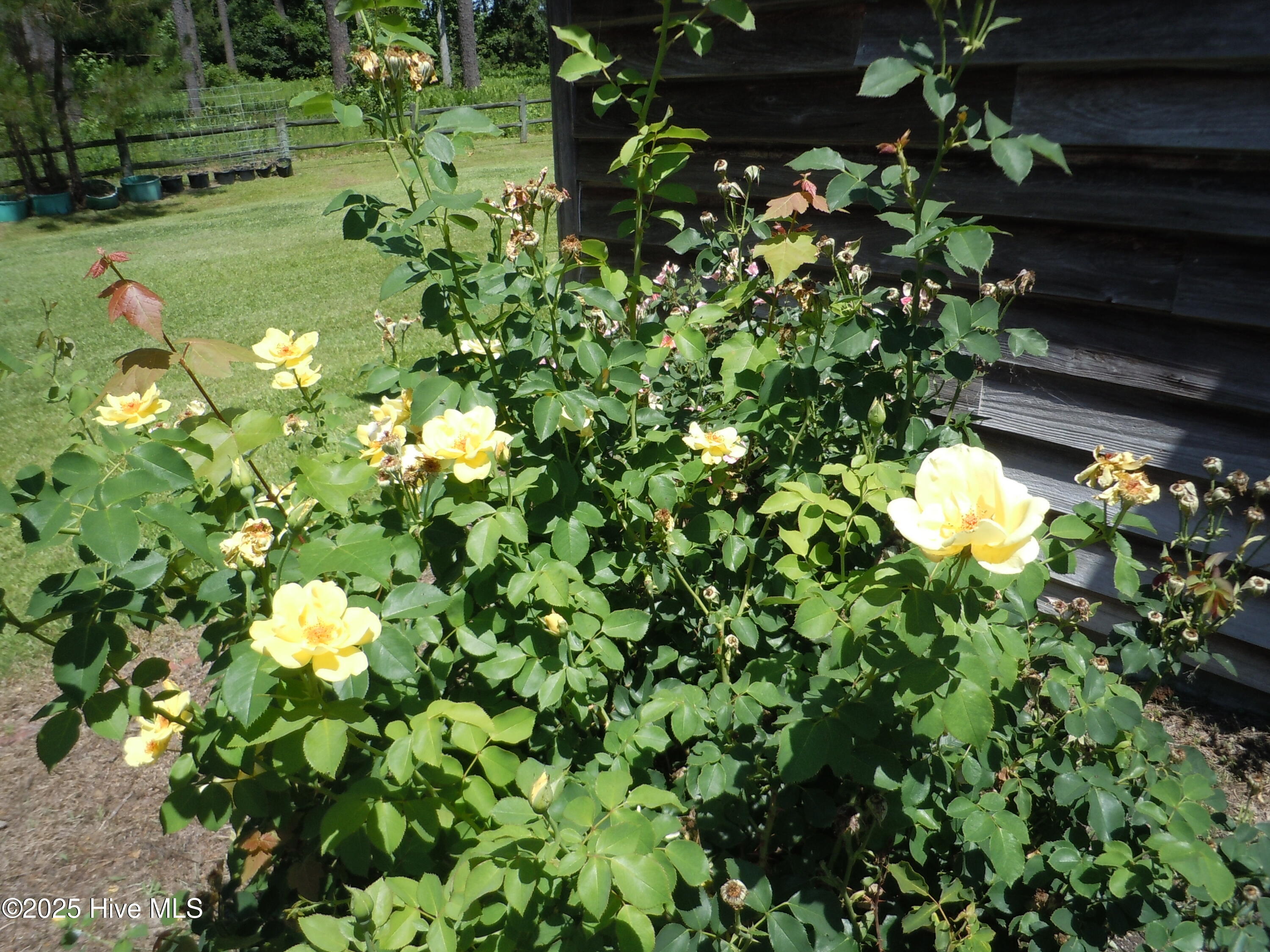 100533053 | Photo 78