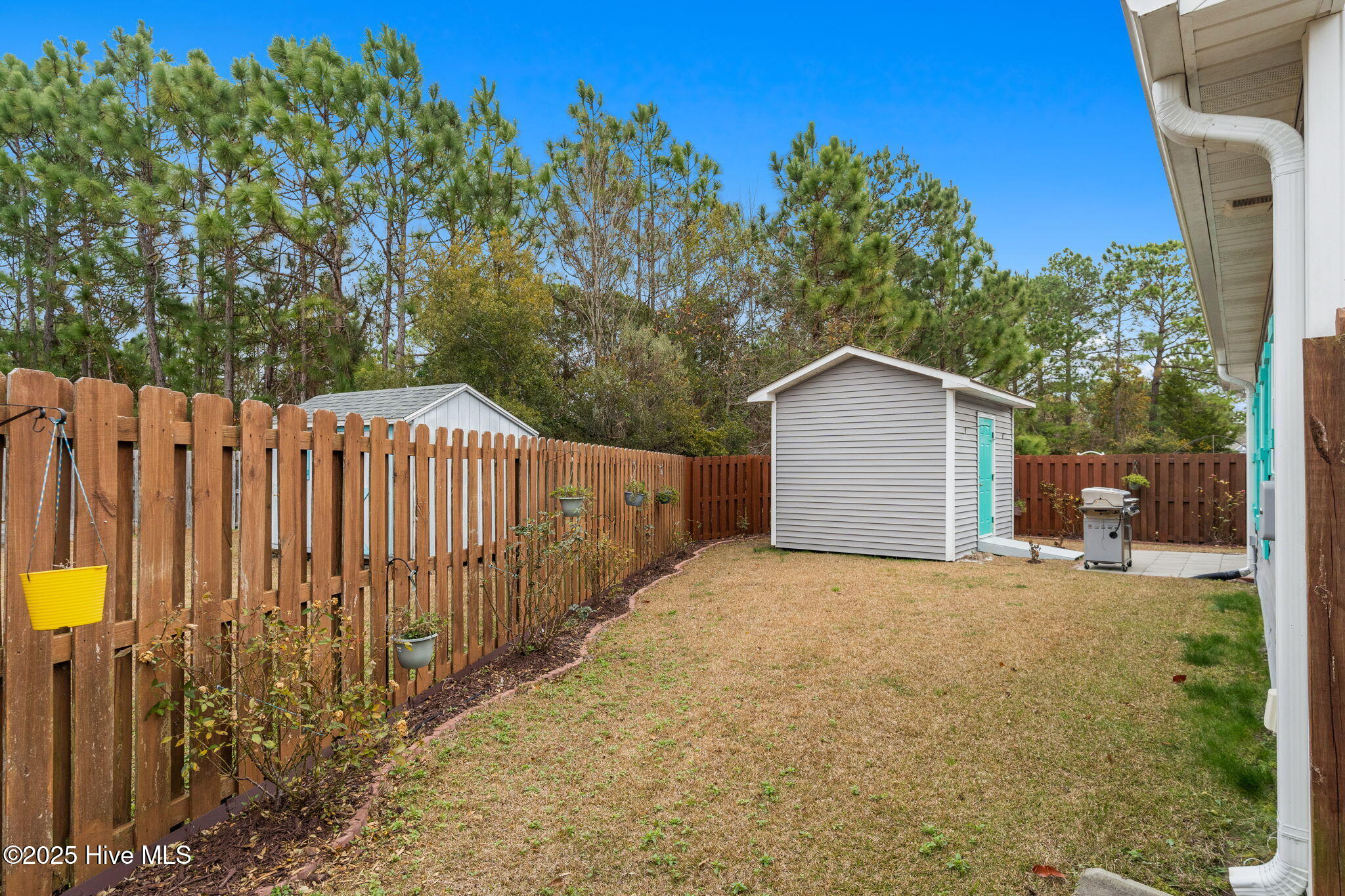 100546939 | Photo 35