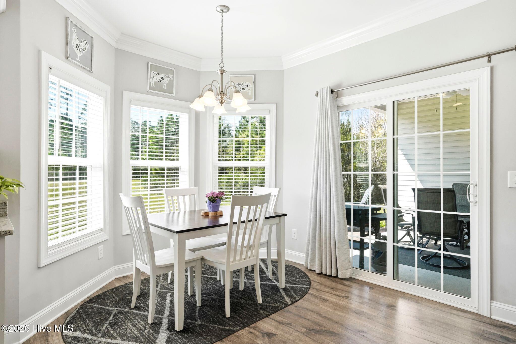 100563818 | Photo 15