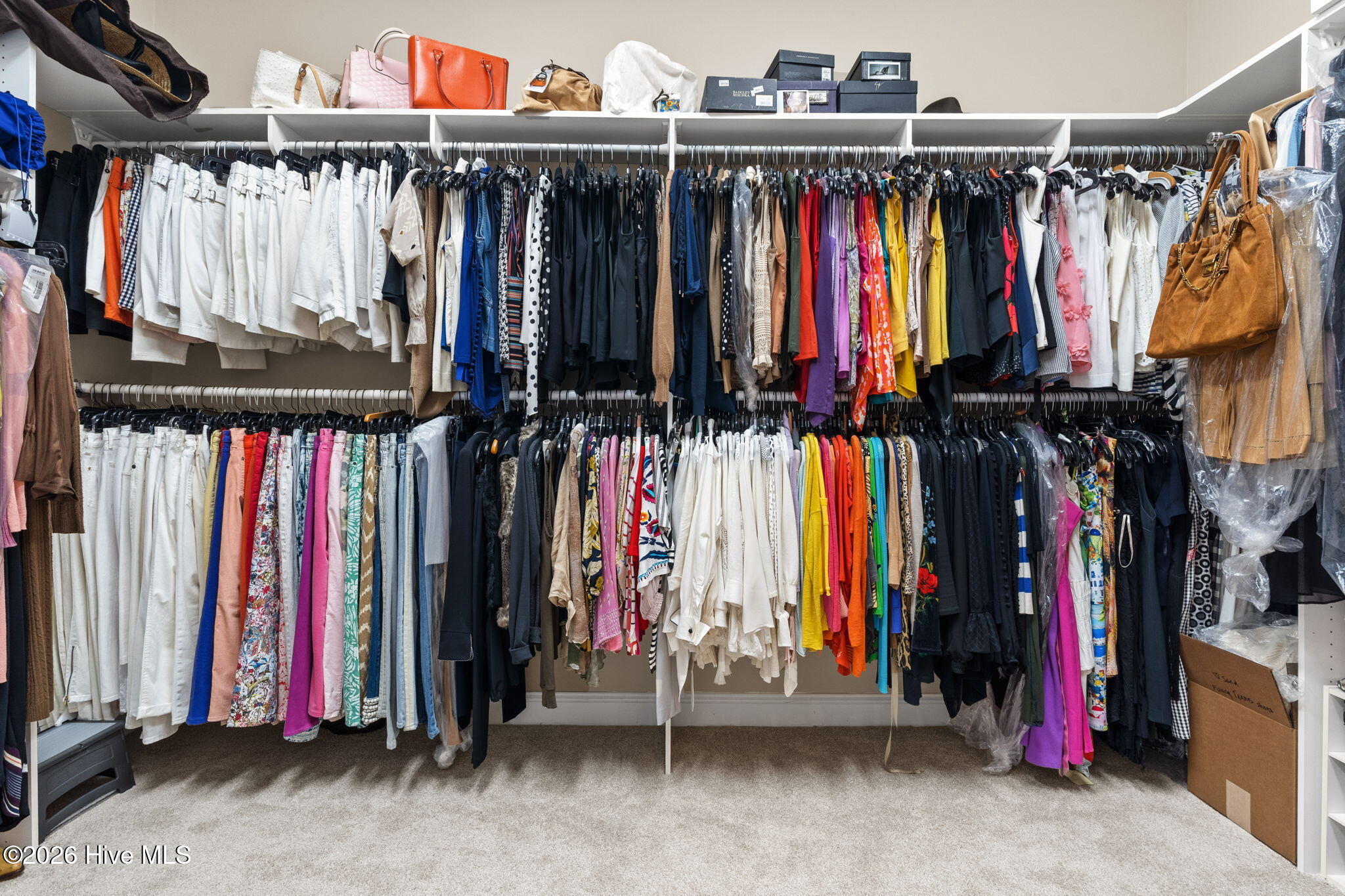 100559683 | Photo 51