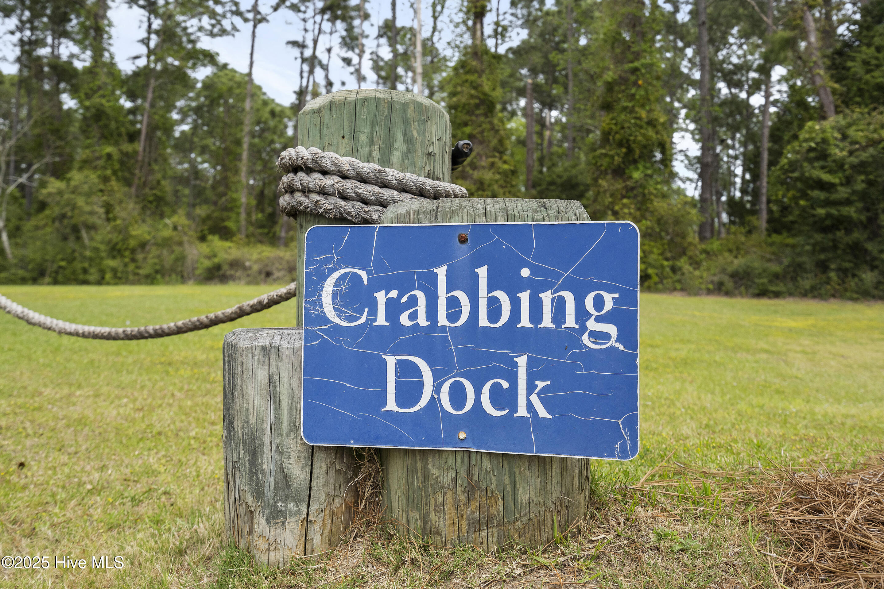 100548000 | Photo 49