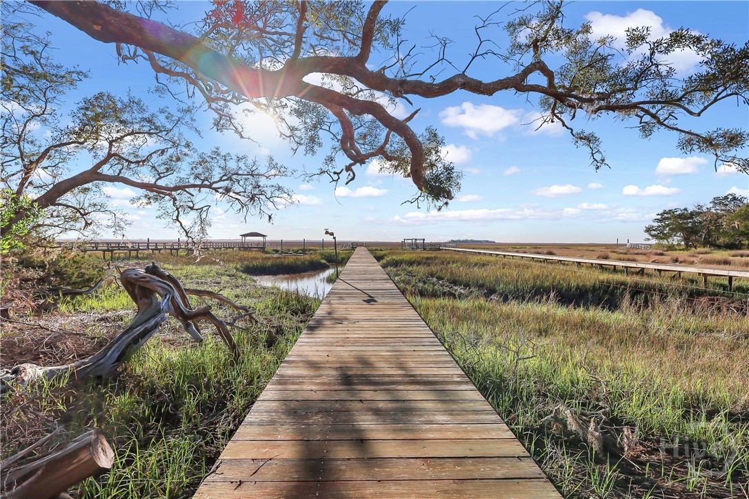 Pictures with grass have been enhanced.