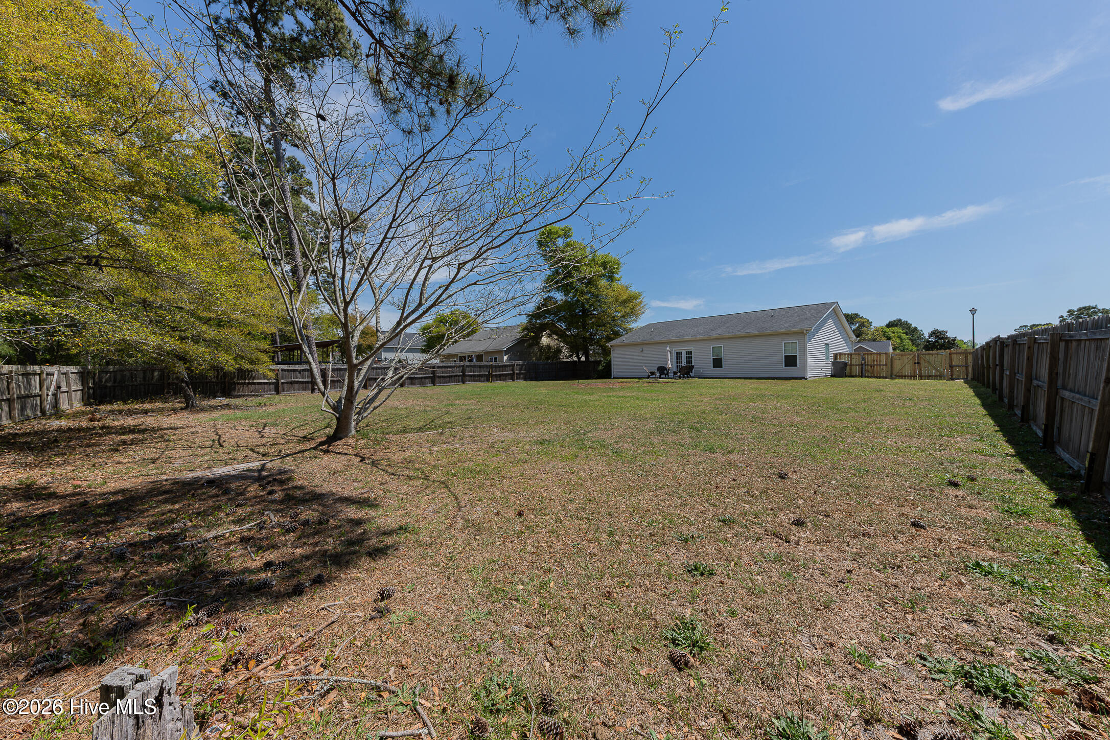 100566582 | Photo 39