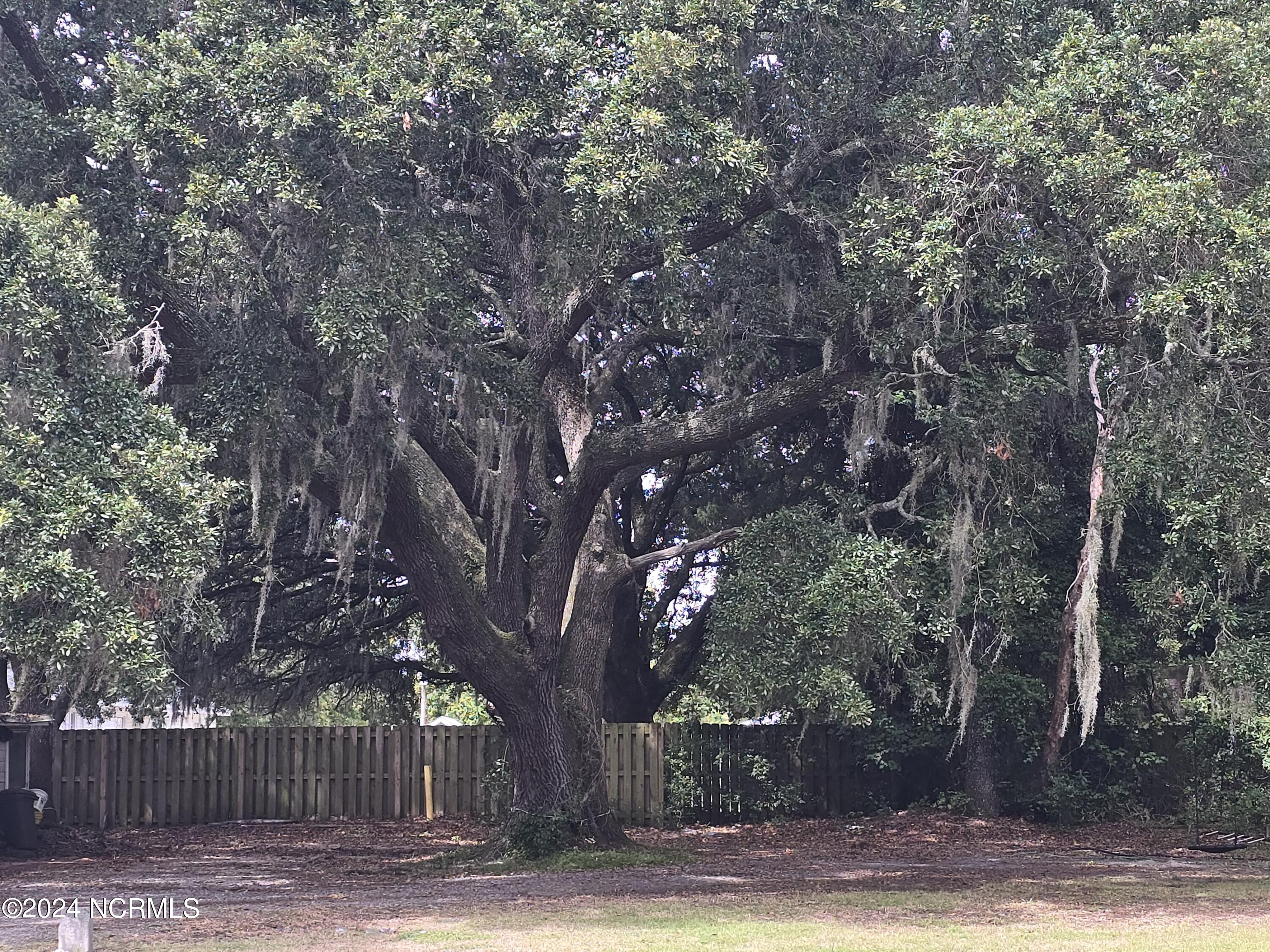 100466461 | Photo 17