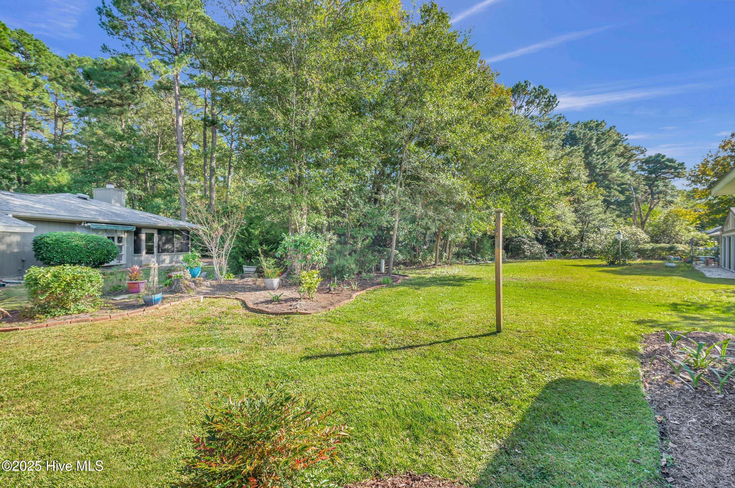 100538752 | Photo 31