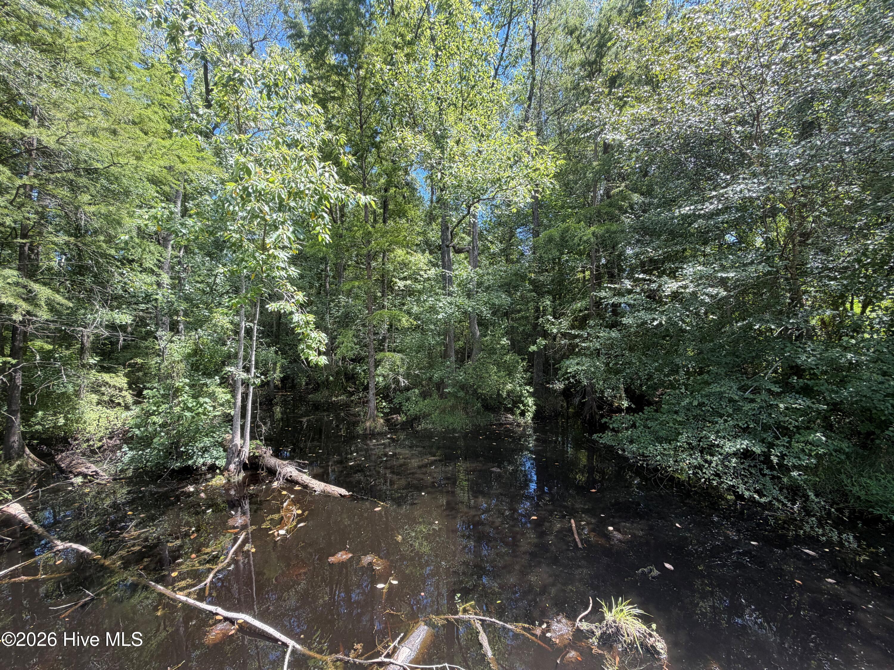 Exterior photo of 6514 Princess Ann Road, Evergreen, NC 28438. MLS: 100595064