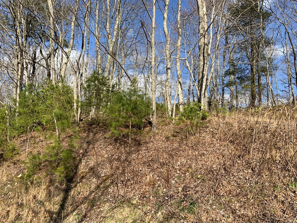 Homes for sale in Andrews, NC | Lot 22 Laramie Hts, Andrews, NC 28901 | MLS# 98544545