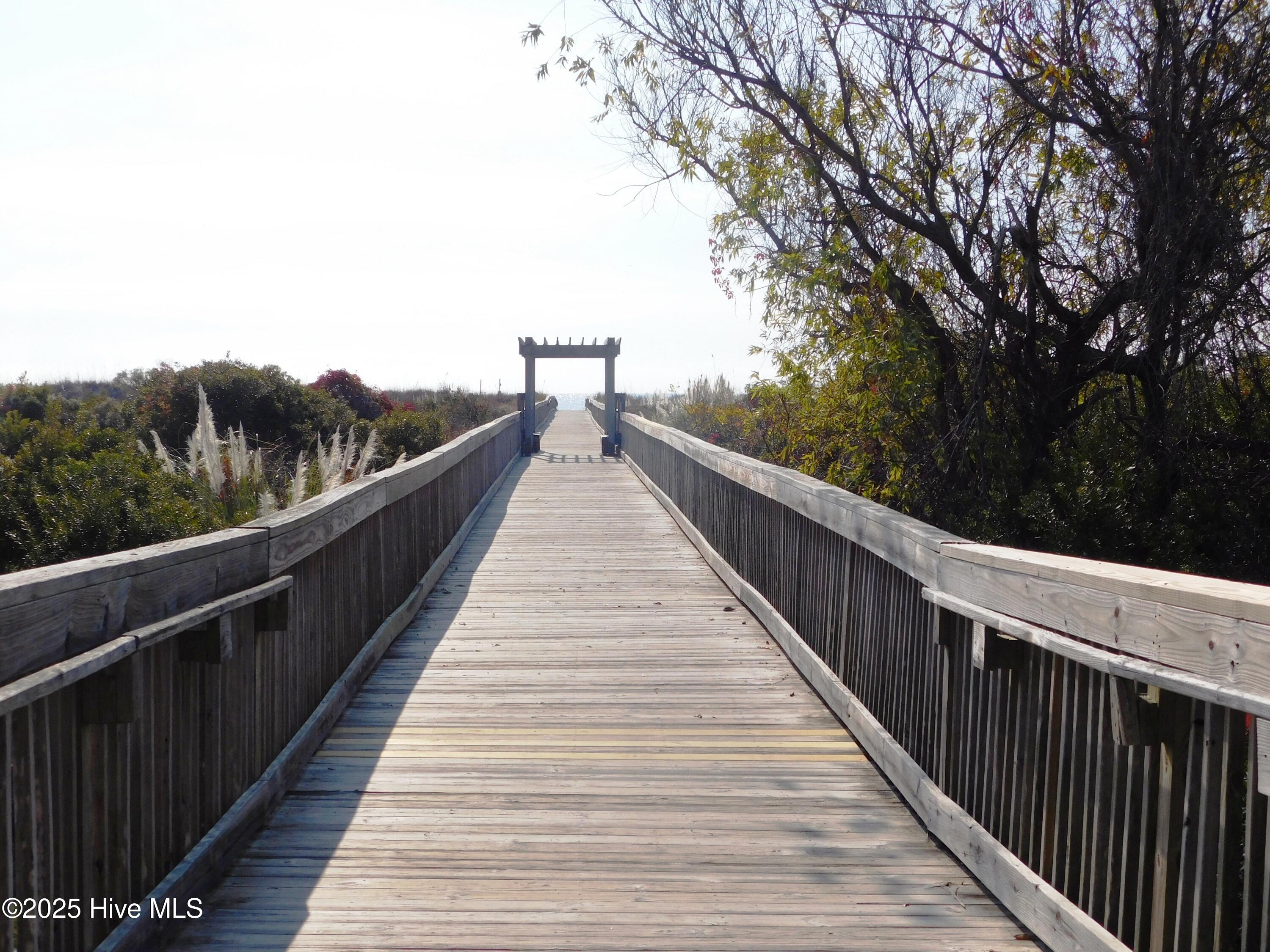 100542384 | Photo 11