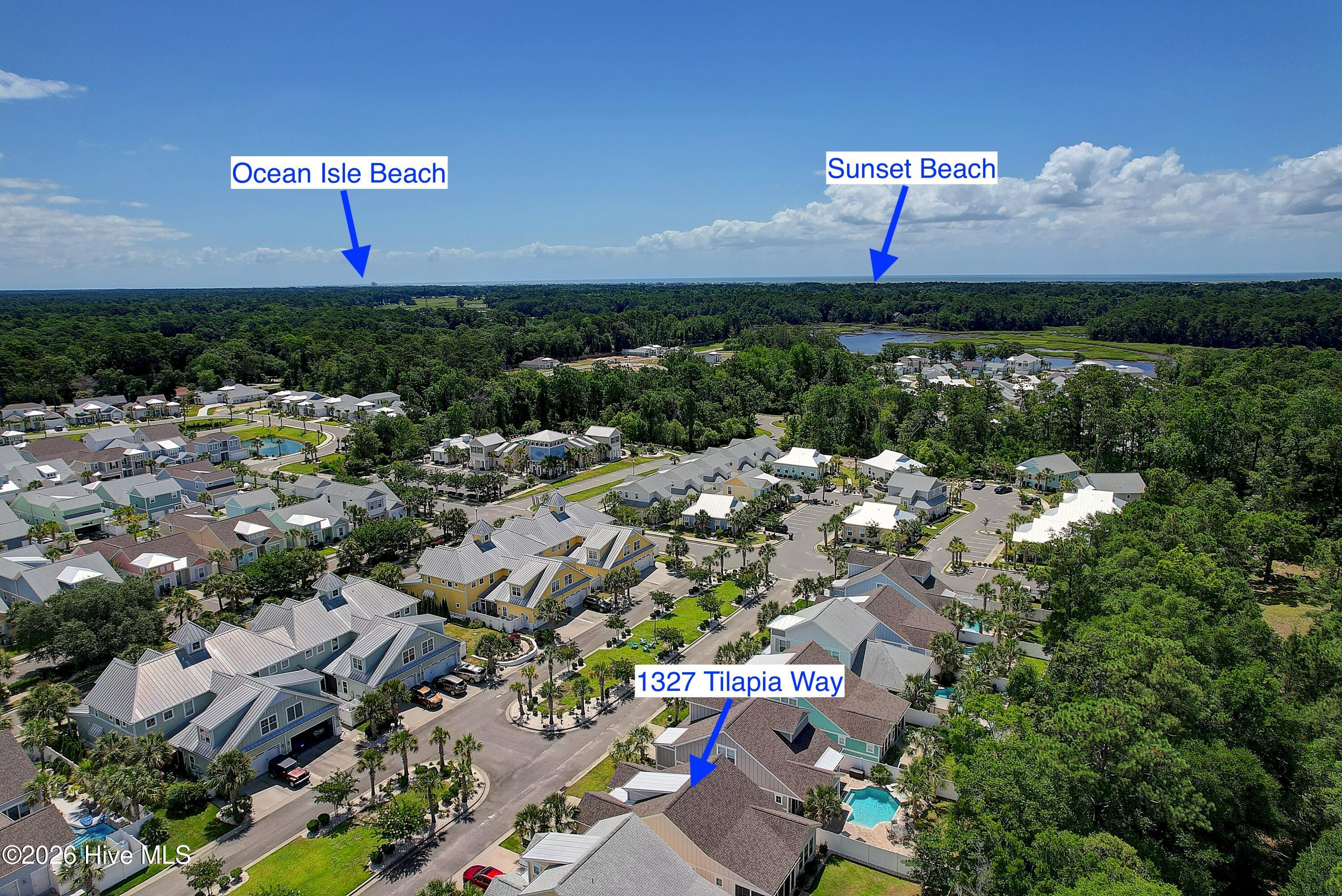 100561295 | Photo 47