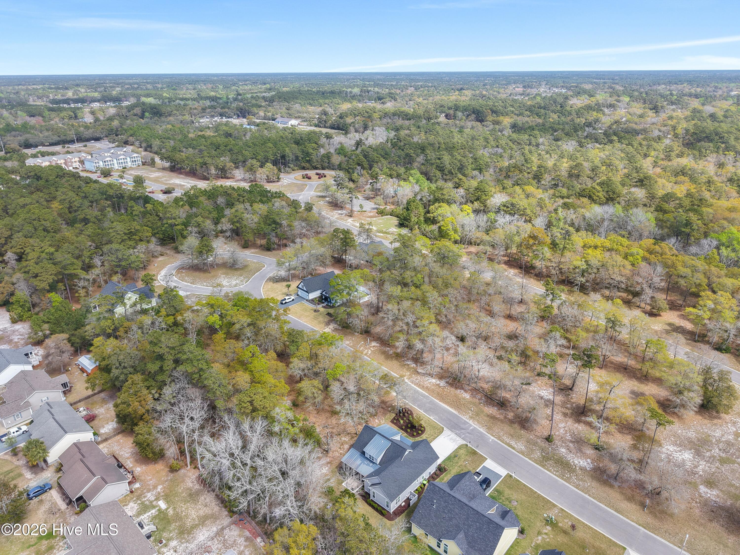 100565017 | Photo 73