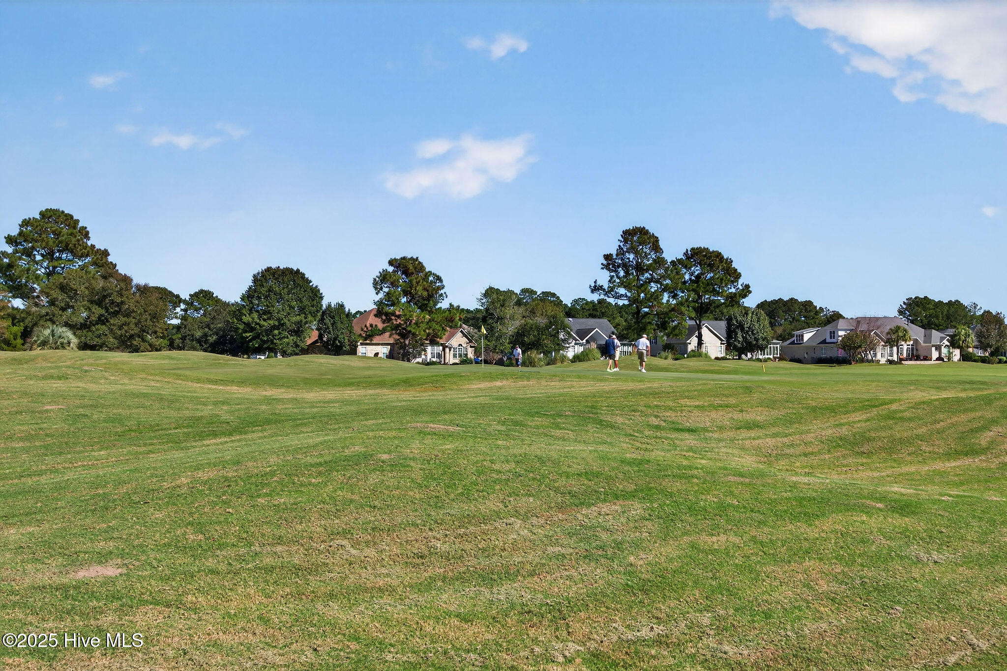 100537047 | Photo 55