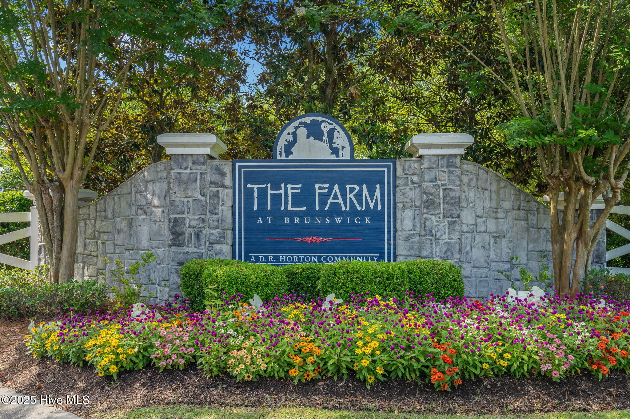 100540486 | Photo 59