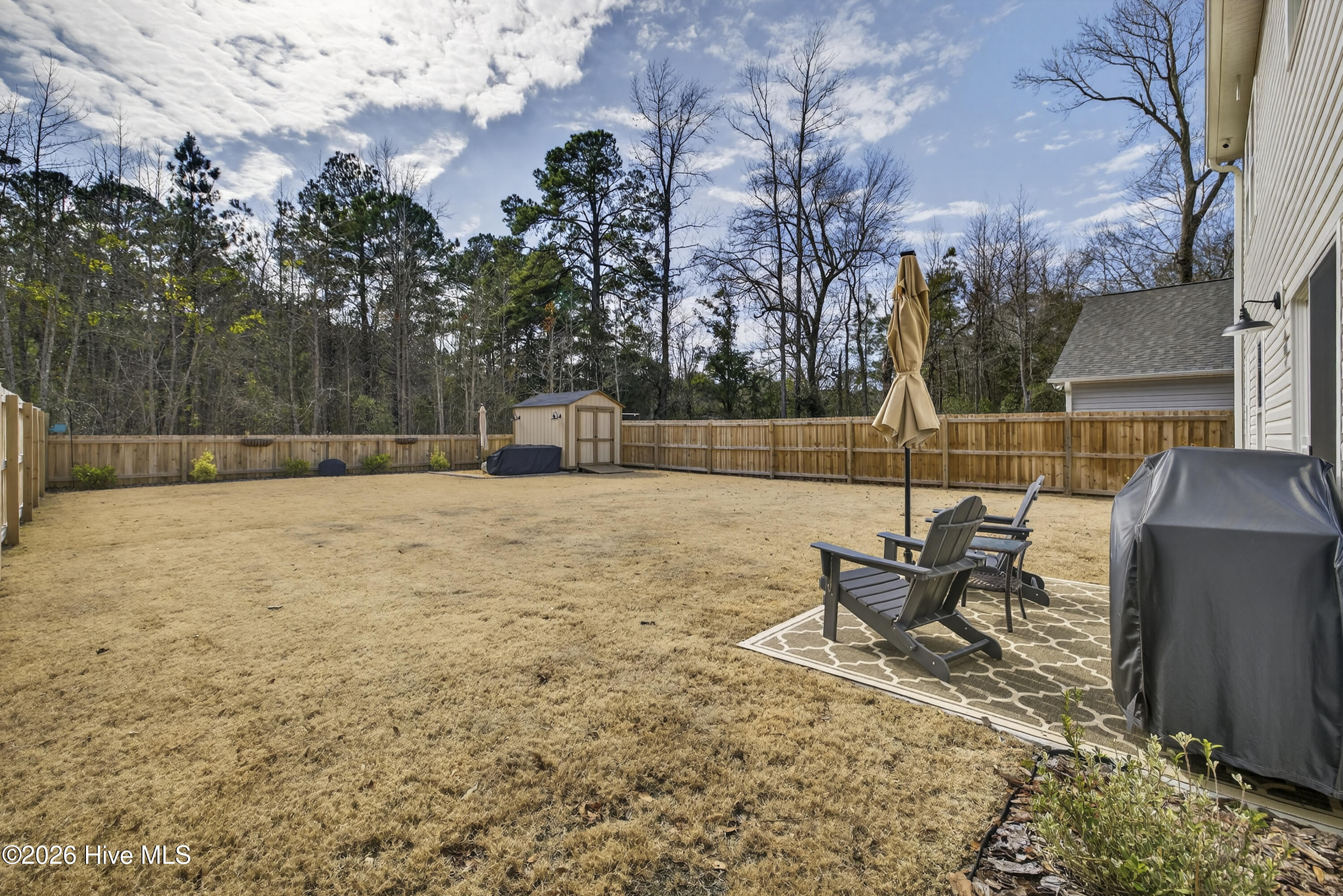 100554086 | Photo 43