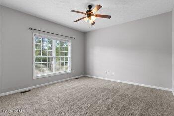 100567328 | Photo 23