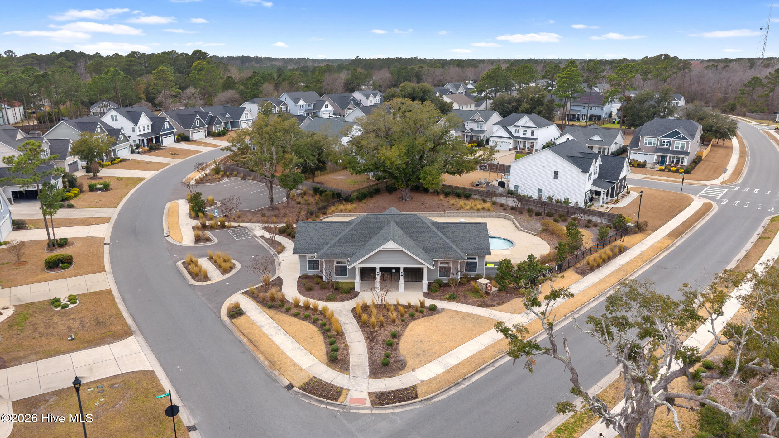 100565855 | Photo 62