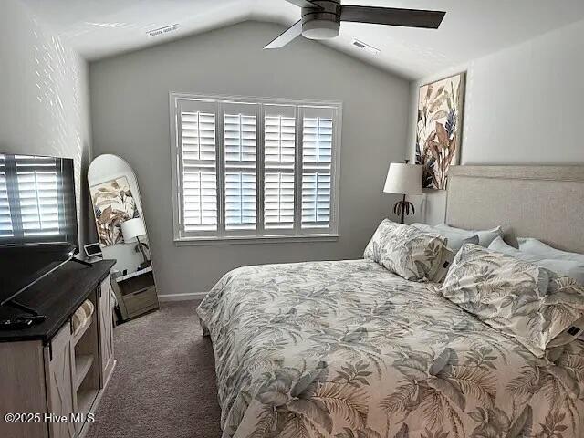 100546543 | Photo 21