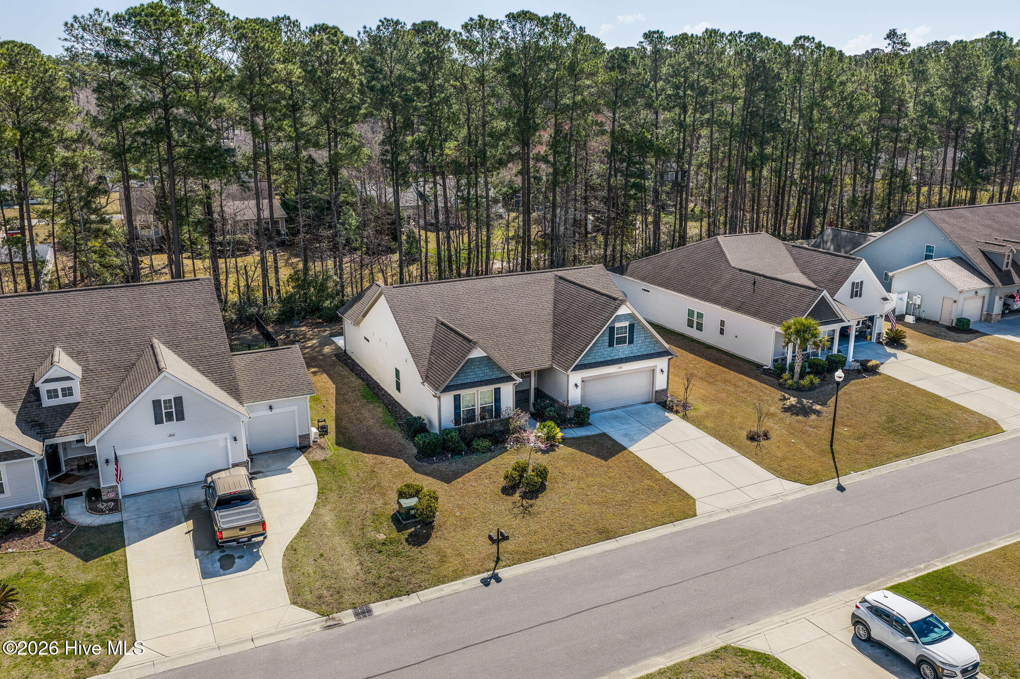 100559245 | Photo 26