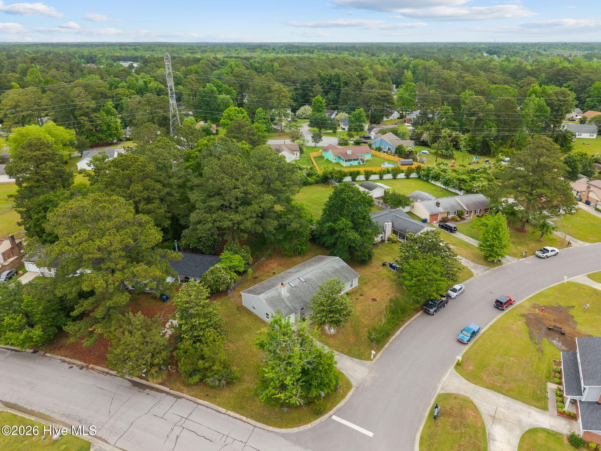 100570195 | Photo 37