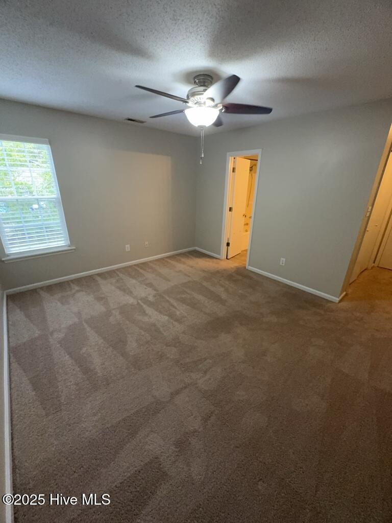 100541105 | Photo 12