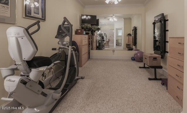 100515842 | Photo 72