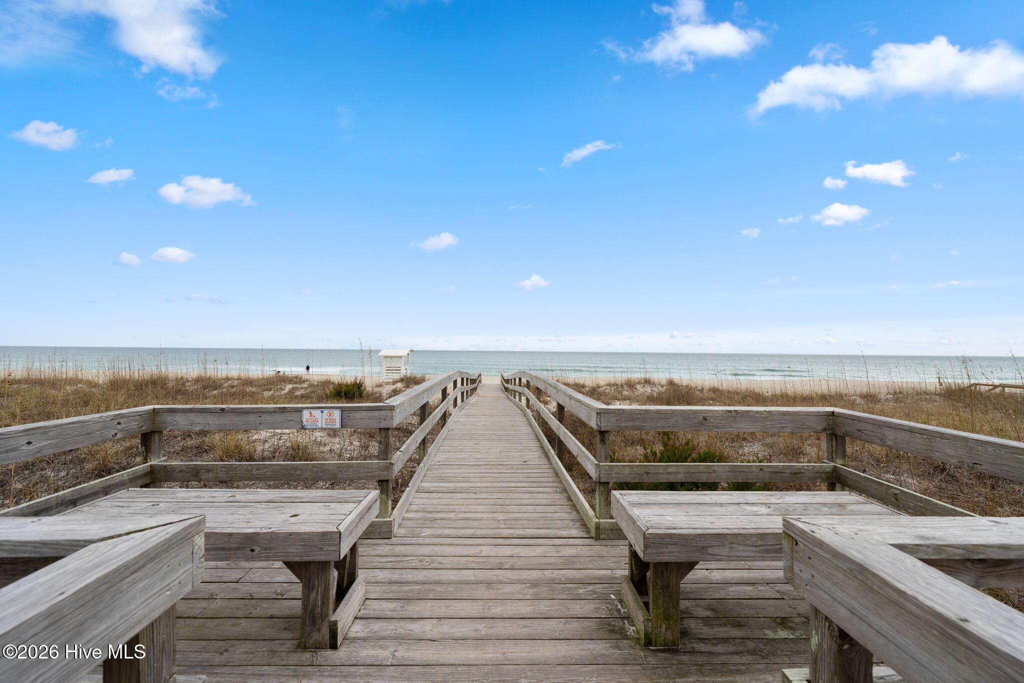 100565852 | Photo 34