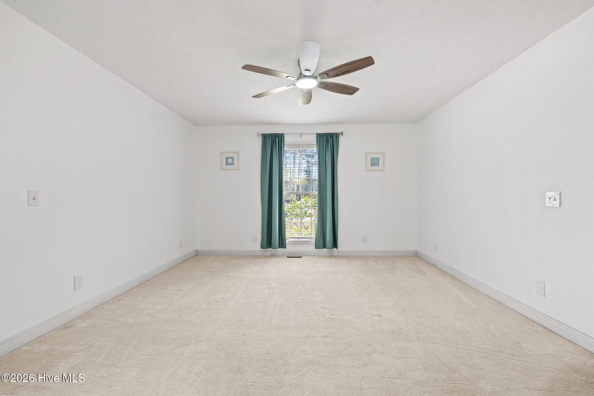 100564721 | Photo 26