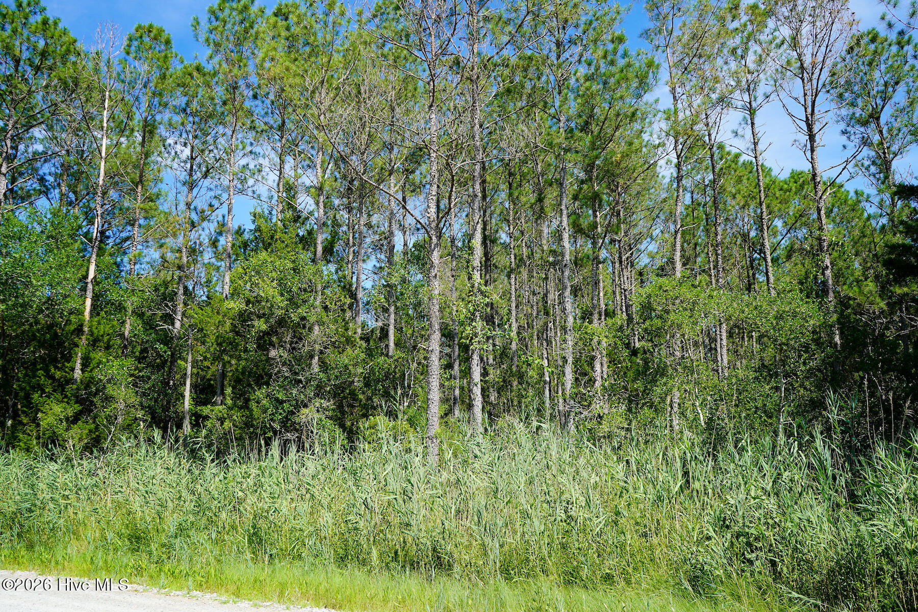 4.57 Acres Meekins Road,Bayboro