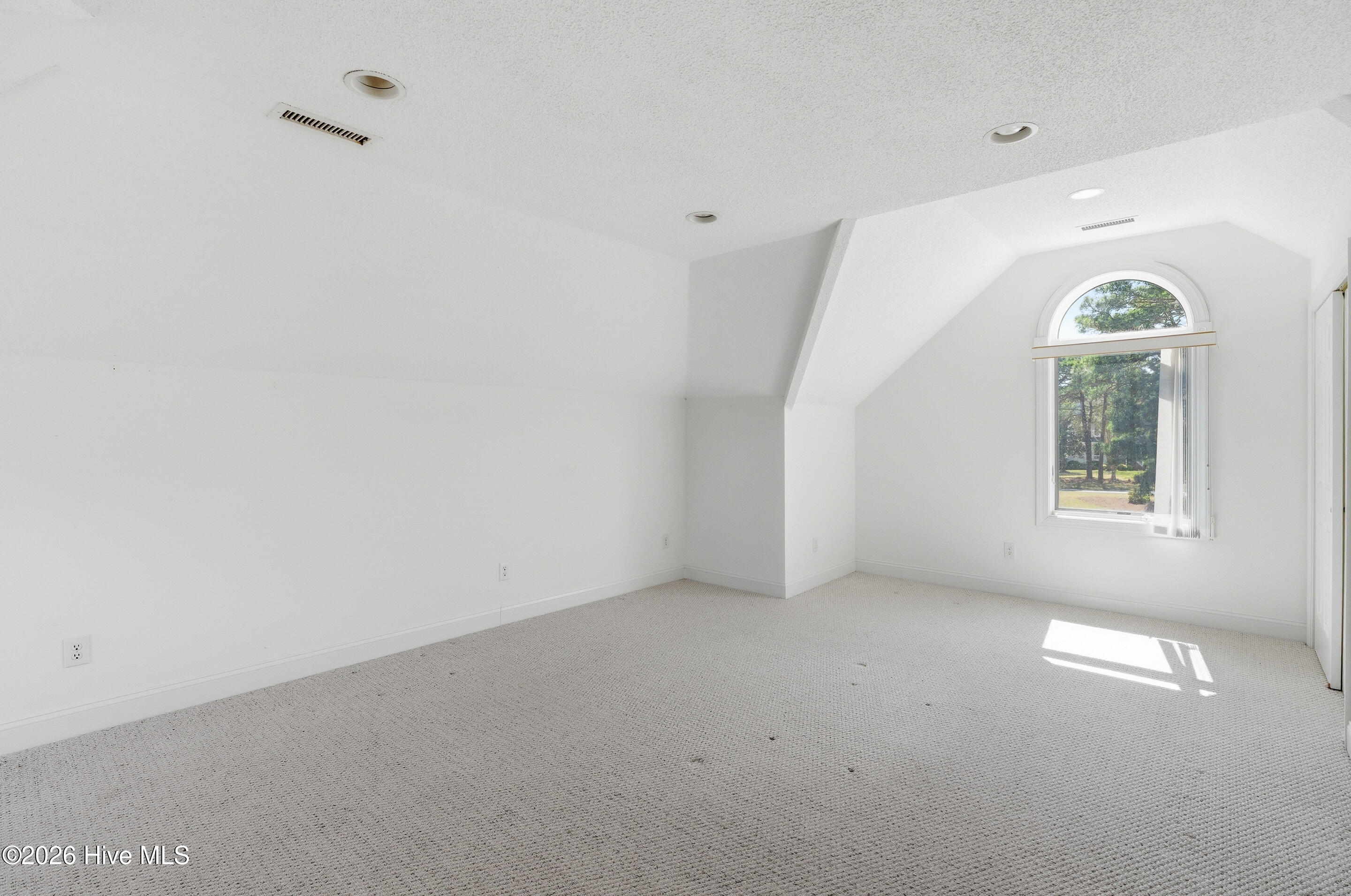 100564038 | Photo 41