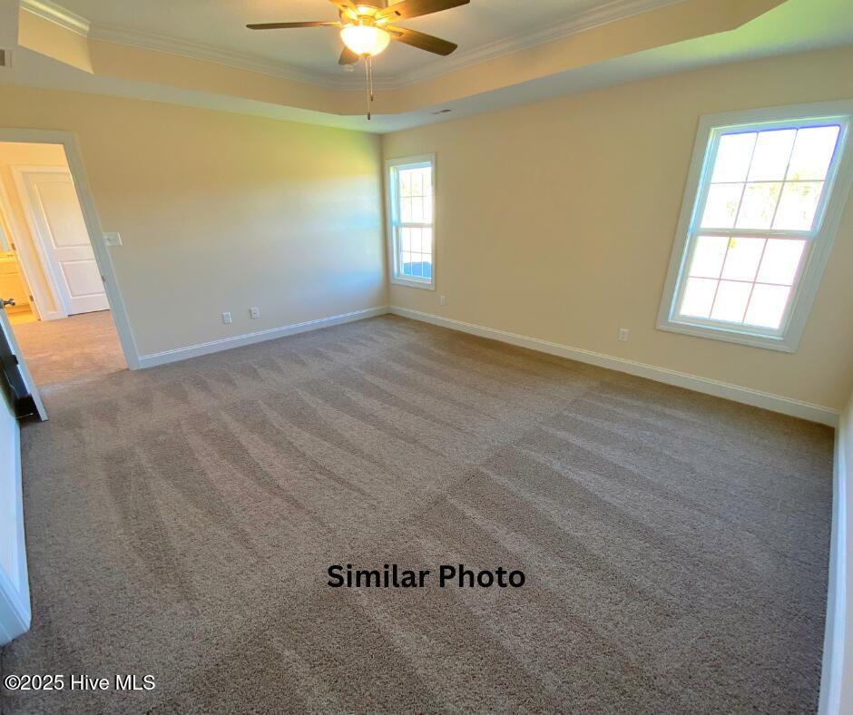 100525578 | Photo 19