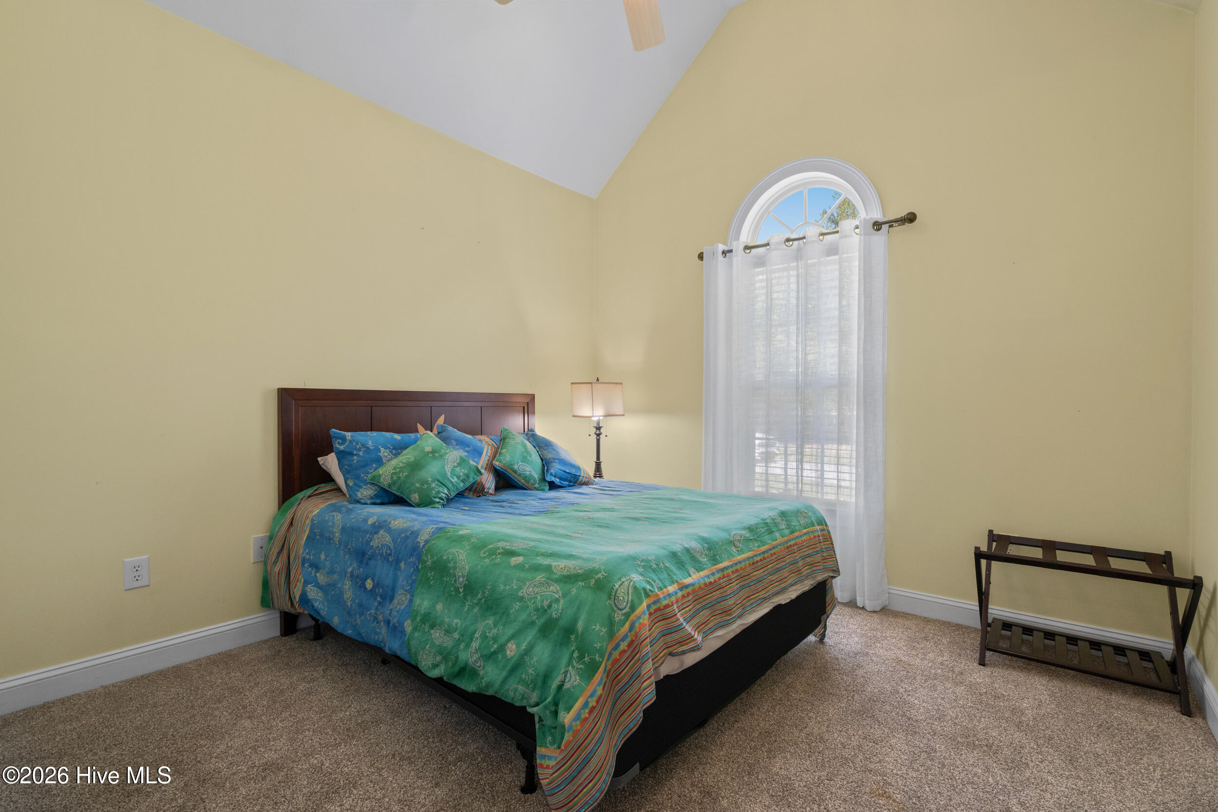 100566575 | Photo 24