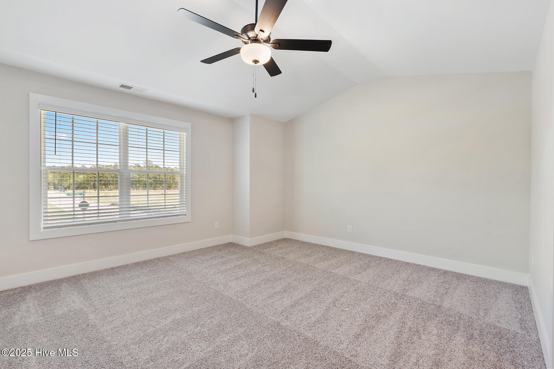 100546623 | Photo 12