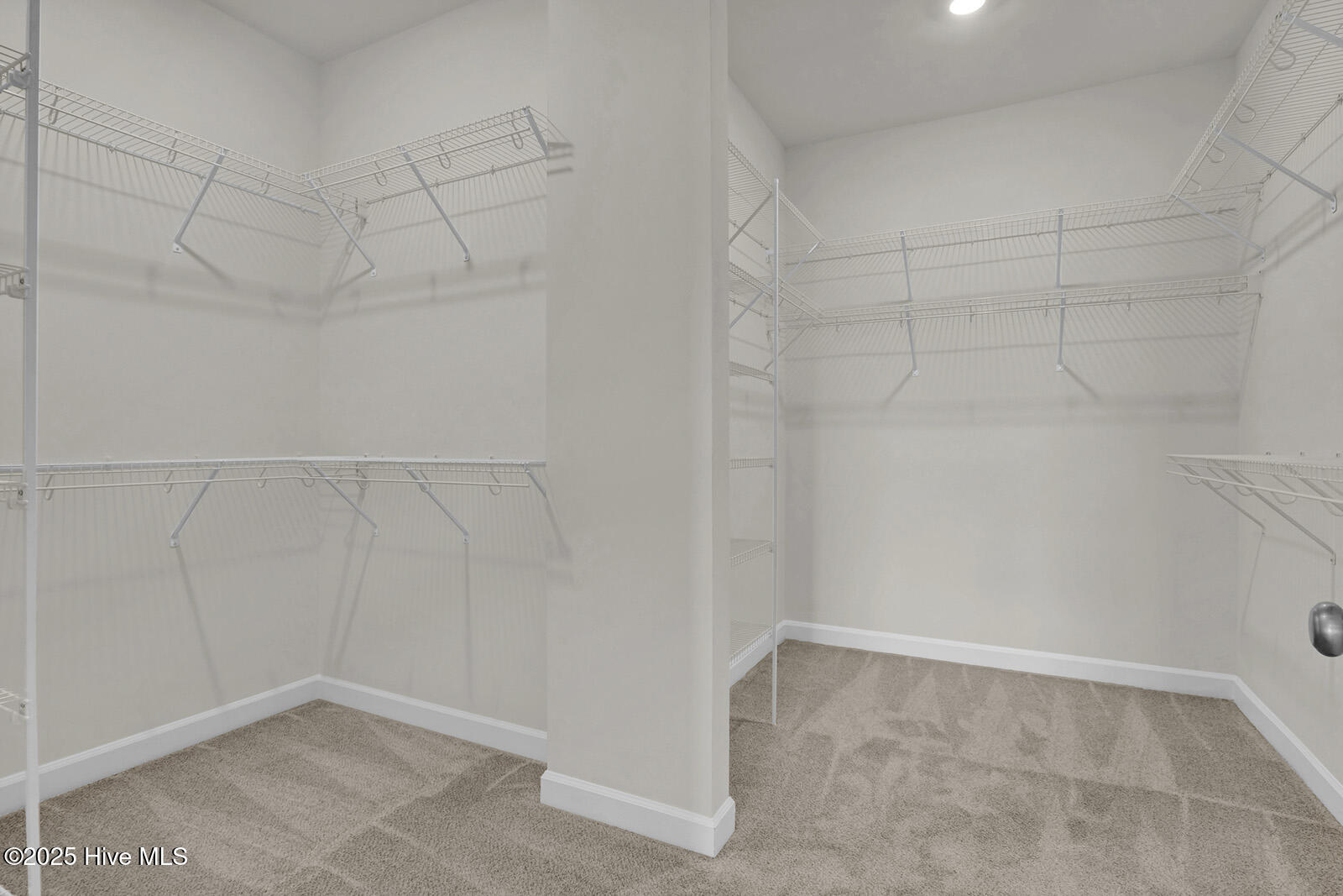 100556058 | Photo 24