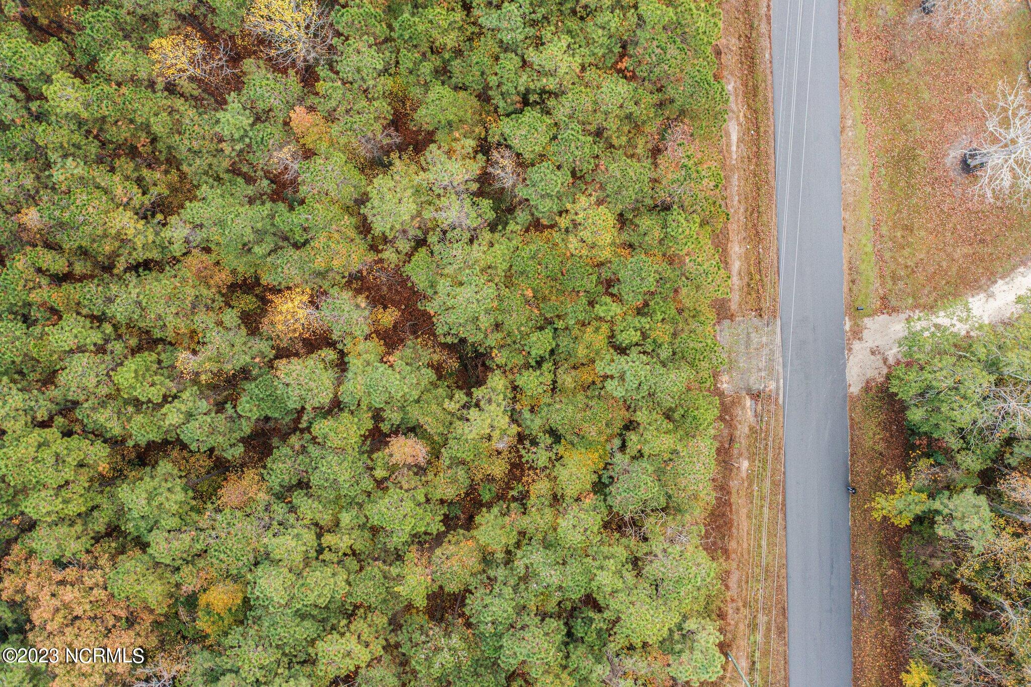 100415479 | Photo 24