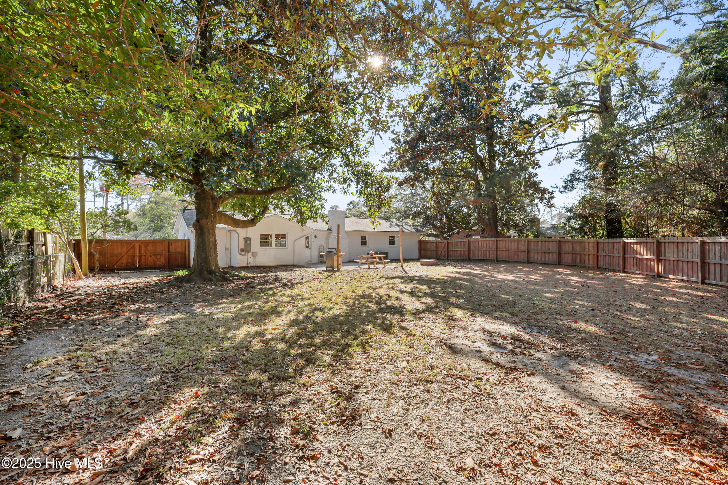 100545776 | Photo 30